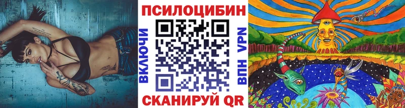 что такое наркотик  Власиха  Галлюциногенные грибы Psilocybine cubensis 